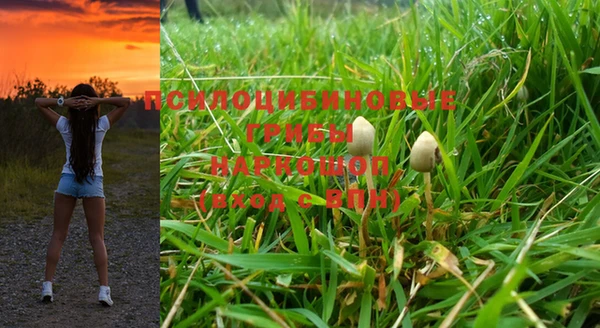 мдма Корсаков