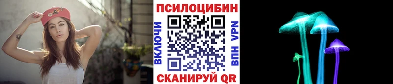 Псилоцибиновые грибы Psilocybine cubensis  Суворов 